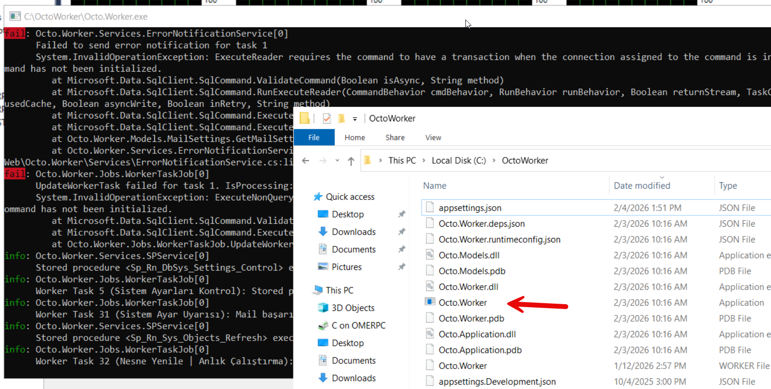 Octo.Worker.exe konsol logları