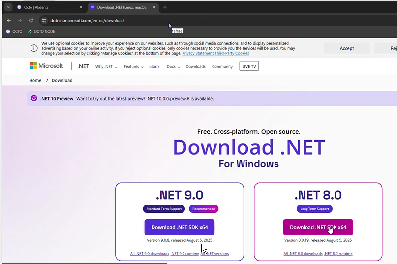 .NET Download sayfası