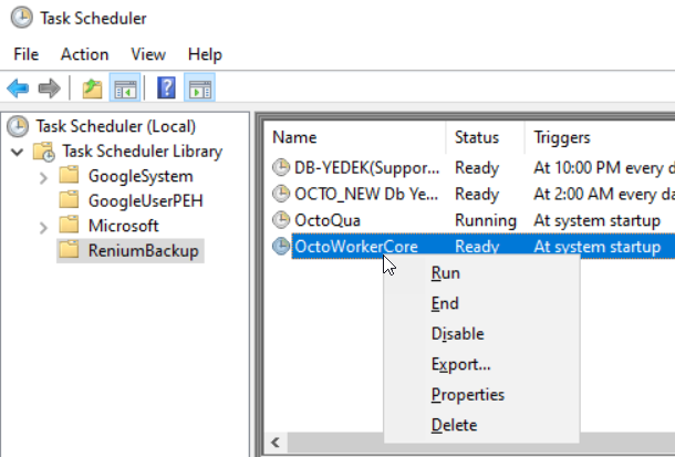 Running the task in the Renium folder